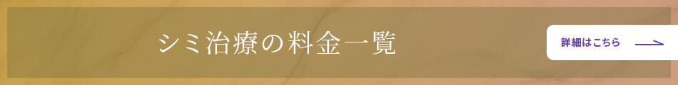 シミ治療の料金一覧