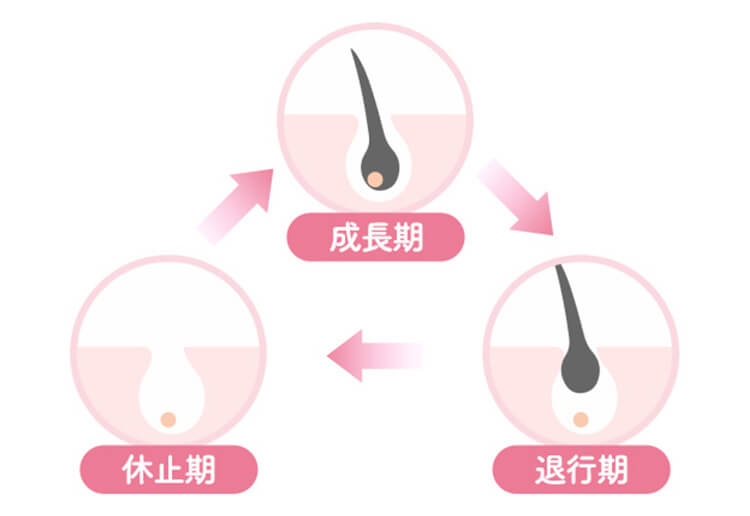 期間を空けて脱毛効果を高める