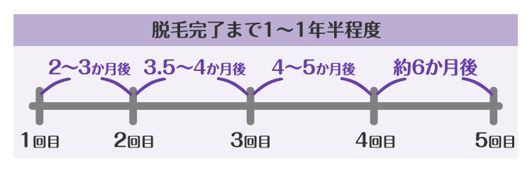 照射スケジュール(毛周期)