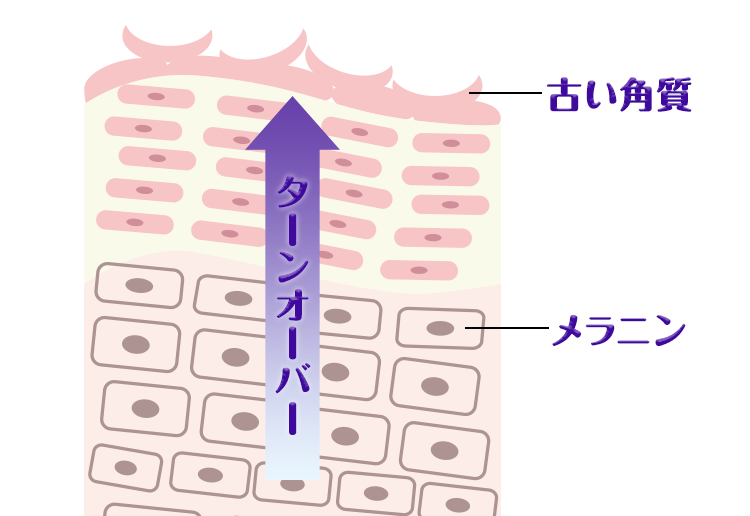 レチノールピールの効果