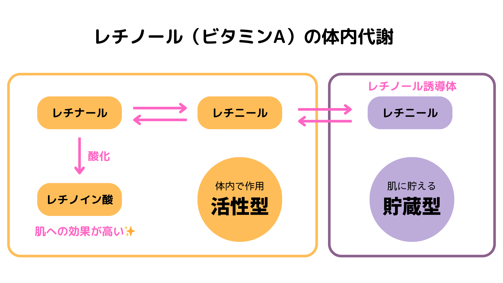 レチノールピールの成分