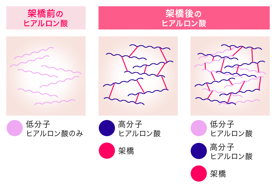架橋前後のヒアルロン酸